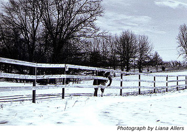 Through the fence at Girl Scout camp