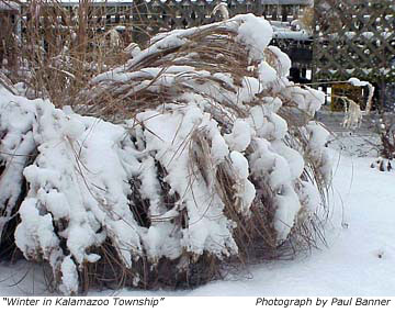 Winter in Kalamazoo Township